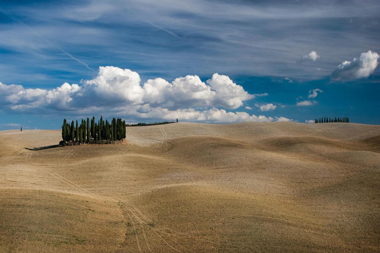 Chimera Tuscany Resort Arezzo Dış mekan fotoğraf