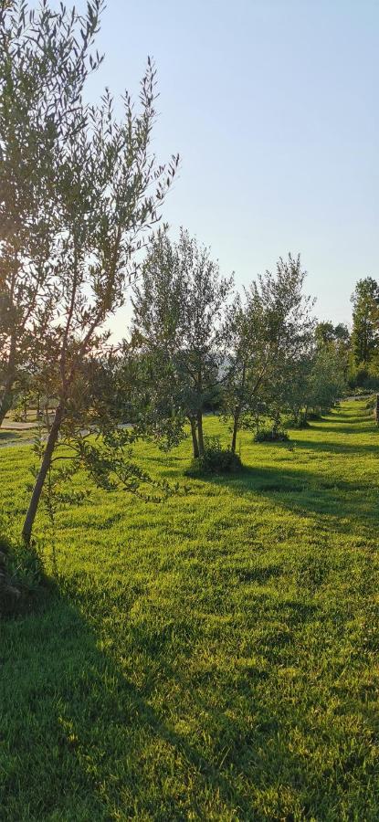 Chimera Tuscany Resort Arezzo Dış mekan fotoğraf